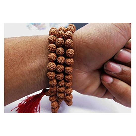 Haridwar Divine 108 Beads Rudraksha Natural Seed Prayer Beads Rudraksha 108 Mala Powerful Rudraksha Mala for Positive Vibes, Meditation, Mantra Japa Mala, Shiv Blessings