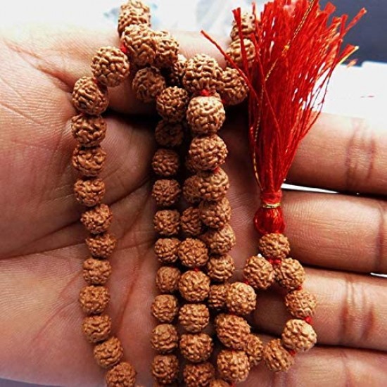 Haridwar Divine 108 Beads Rudraksha Natural Seed Prayer Beads Rudraksha 108 Mala Powerful Rudraksha Mala for Positive Vibes, Meditation, Mantra Japa Mala, Shiv Blessings