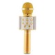 WS-858 Wireless Bluetooth Handheld Microphone Stand Karaoke Mike with Speaker Audio Recording for Cellphone (Gold)