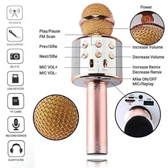 WS-858 Wireless Bluetooth Handheld Microphone Stand Karaoke Mike with Speaker Audio Recording for Cellphone (Gold)